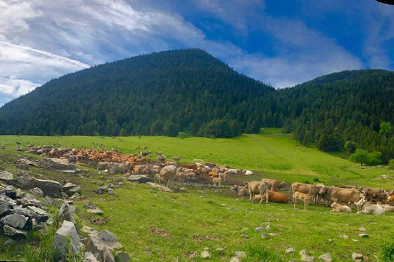 alquiler-ebike-baqueira-valdaran-calafatebike-0003