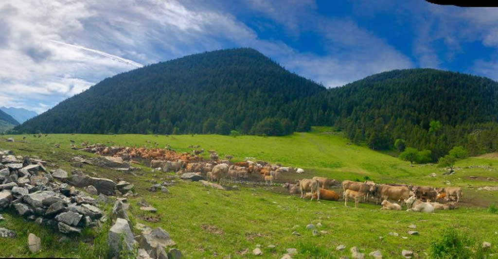 Paseo en ebike por Montgarri. Val d'Aran