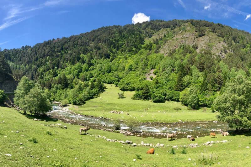 alquiler-ebike-baqueira-valdaran-calafatebike-0006