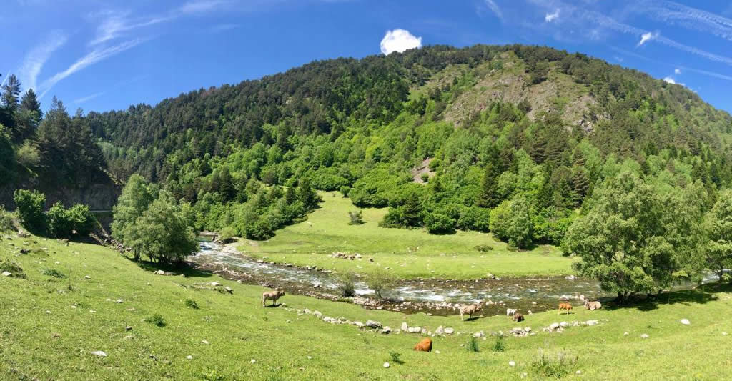 Paseo en ebike por Montgarri. Val d'Aran